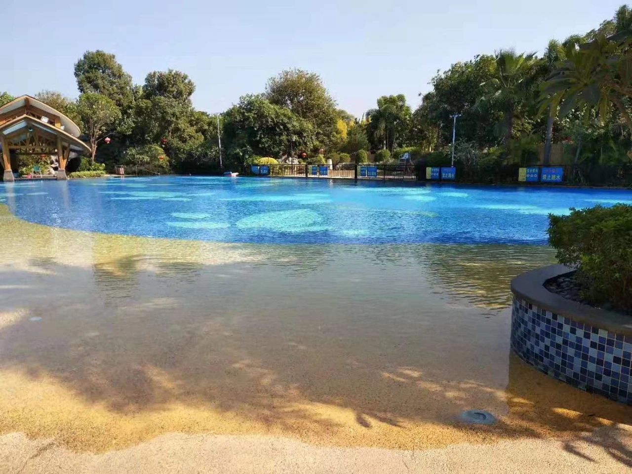这个夏天，我在泳池等你